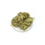 Silver Bud Marihuana CBD