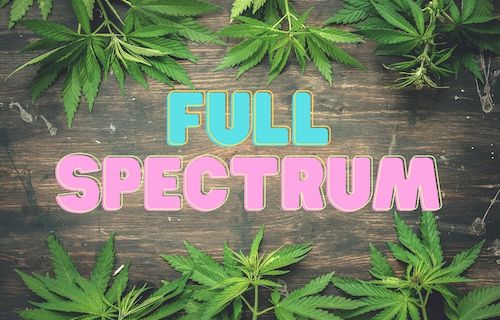 Czym jest Full Spectrum CBD?